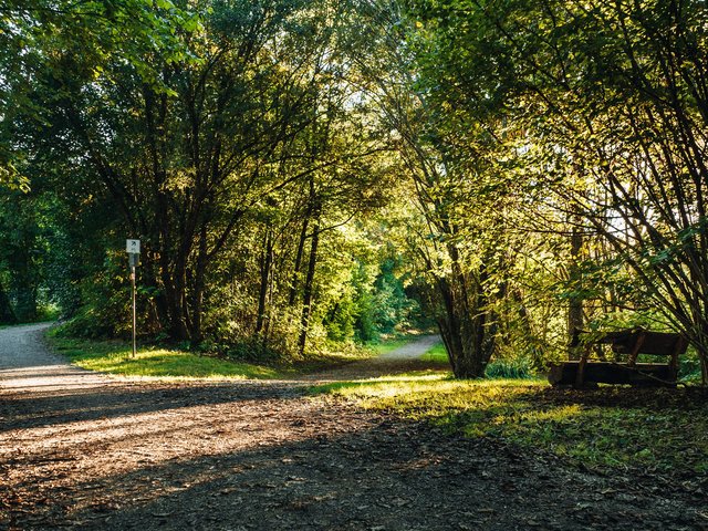 Ein Wanderweg, der sich gabelt. Mittig ein Schild für Fahrradfahrer, rechts eine Bank. Lichter Wald.